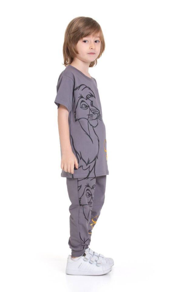 Erkek Çocuk Lion Kıng Gri İkili Uzun Takım (2-D)