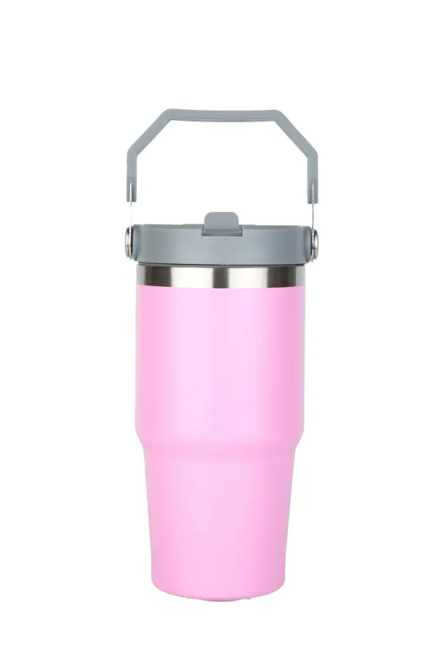 Çelik Termos Pipetli ve Tutmalı Üst Kısmı Geniş 650 ML