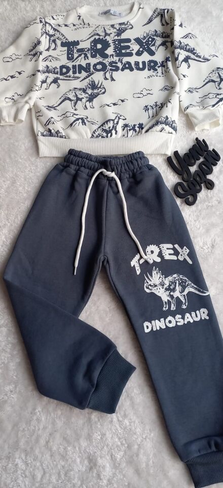 Erkek Çocuk T-rex Dinazor Baskılı  Şardonlu İkili Takım