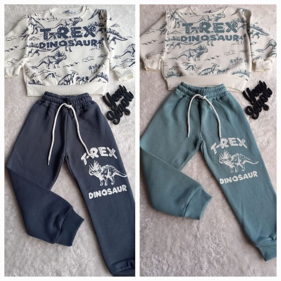 Erkek Çocuk T-rex Dinazor Baskılı  Şardonlu İkili Takım