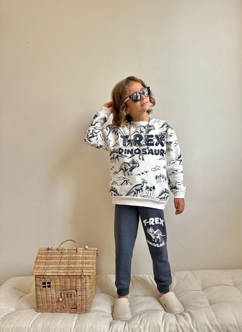 Erkek Çocuk T-rex Dinazor Baskılı  Şardonlu İkili Takım