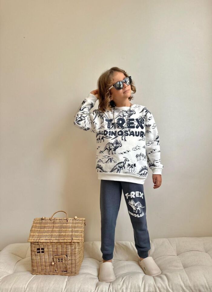 Erkek Çocuk T-rex Dinazor Baskılı  Şardonlu İkili Takım